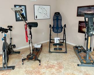 Lots of sports equipment including spin bike, Nordic Track & Inversion chair