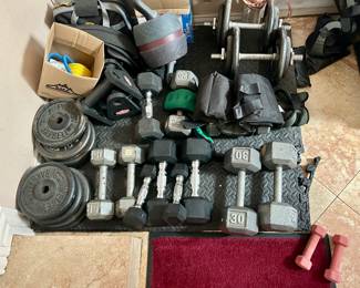 Large selection of weights and barbells