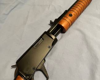 Rossi Gallery Pump .22