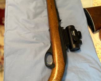 Marlin Glenfield Model 60 22LR
Bushnell Red/Green Dot Scope