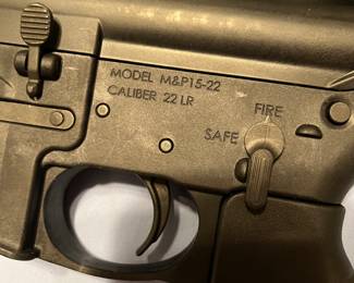 Smith & Wesson Model 15-22
.22LR