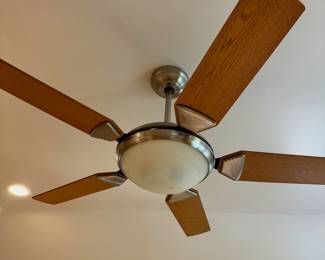Ceiling Fan