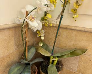 Faux orchids