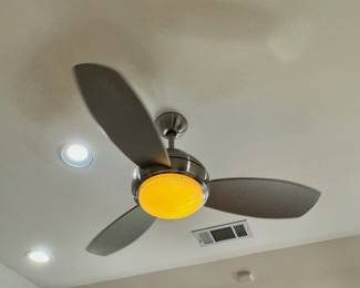 Ceiling Fan