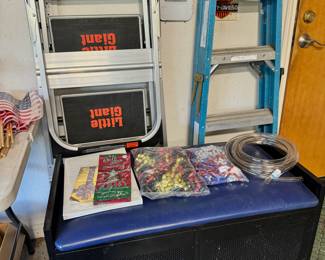Ladders, Metal Bench with storage