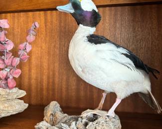 TaxidermyBird