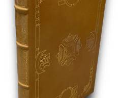 SIGNED FIRST EDITION COPY Solis By A. A. Attanasio - Easton Press Publishing