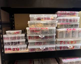 FISHING BAIT/SUPPLIES
