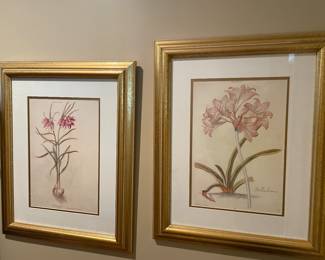 botanical prints