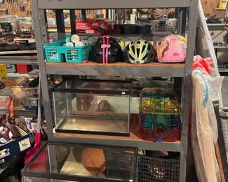 Bicycle helmets, reptile aquariums, hamsters cages