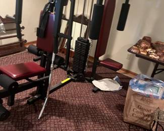 Complete weight system-home gym