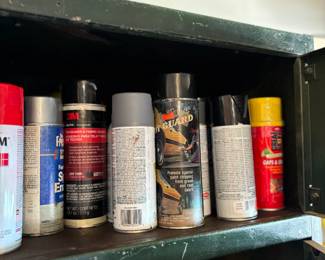 Spray paint and other garage items