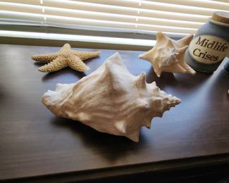 Large Marine Caribbean Ocean Seashell Decor