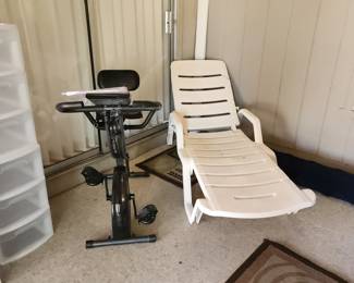 Pool Lounge Chair & Exercise Bike