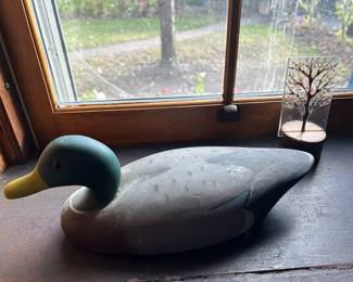 PINTAIL (hen) BY ANIMAL TRAP Co. of Pascagoula Miss 1963