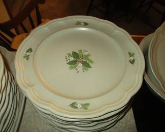 Pfaltzgraff dishes