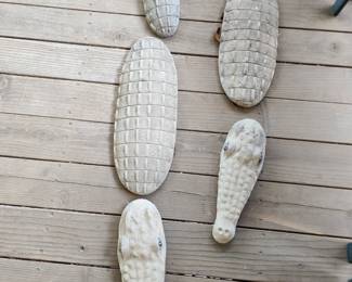 Alligators