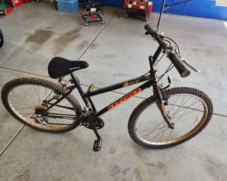 Dyno 300 woman's bike