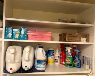 Various Cleaning Supplies