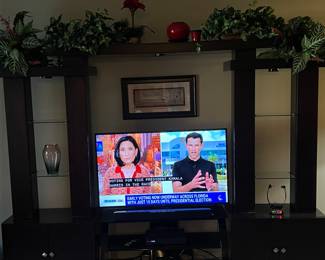 Open Entertainment Unit