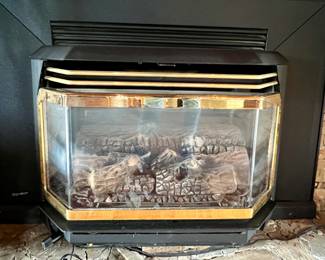 Regency electric fireplace insert