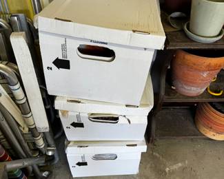 Vintage Playboys (Hundreds)