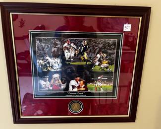 #228	Crimson Crush w/1 coin Framed Print 	 $30.00 
