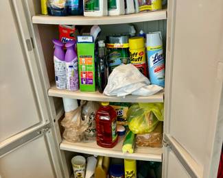 Variety of household cleaners and chemicals