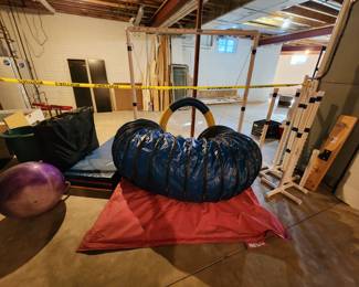 Dog agility equipment 