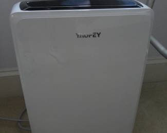 Presold to flood victim