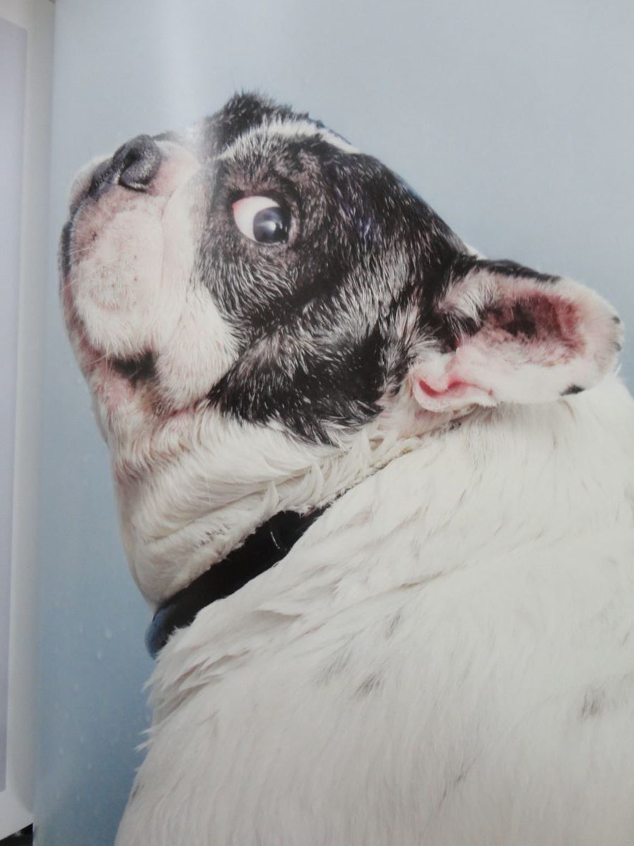 This is how you will feel if you miss the sale.