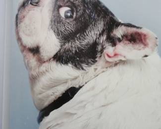 This is how you will feel if you miss the sale.