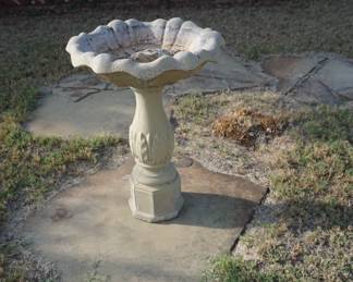 bird bath