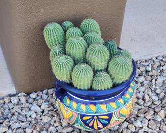 Talavera Planter  Mexican Pottery with Cactus