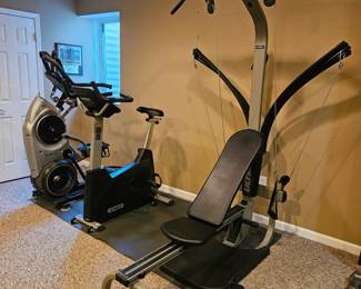 Bow Flex weight machine, Precor Treadmill, Spirit XBU 55, Boflex maximum Trainer M-7