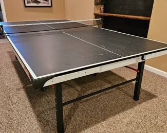 Ping Pong table