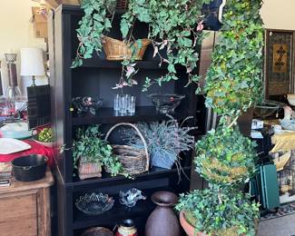 2 Black Bookcases, Lots of Home Decor and Greenery. 