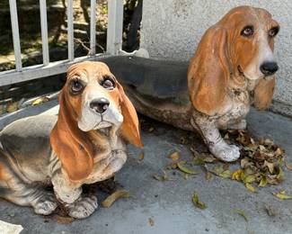 Pair of Basset Hounds