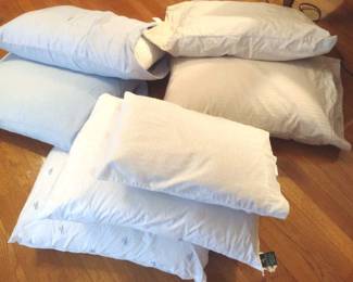 Bed Pillows