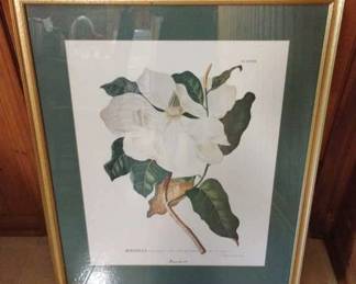 Magnolia Framed Art
