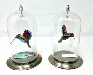 Cloisonné Hummingbirds
Dome Cloche sold separately 