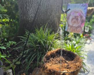 Hanging Basket