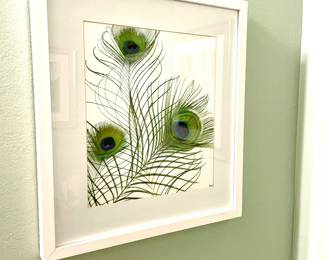 Peacock Feathers frame Art
