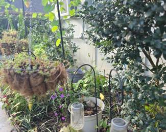 Different size Shepherds Hooks