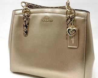 COACH Gold Purse