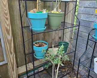 Plants and Metal Plant Racks