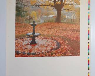 Autumn leaves landscape poster