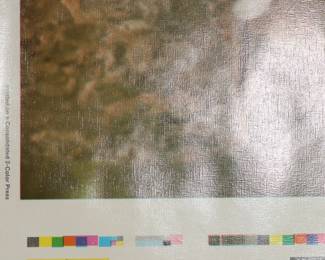 Closeup of color print poster of photograph of two puppies