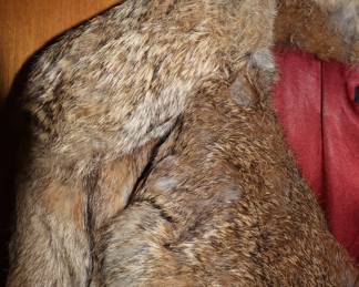 Closeup of real fur coat with leather belt, size 18, Made in Korea