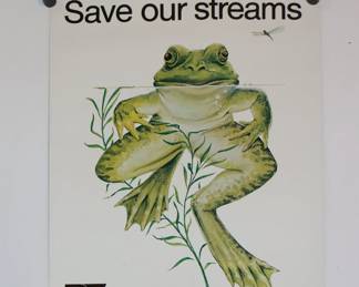 Save Our Streams frog poster